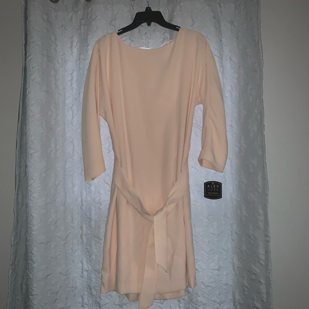 alex marie dress